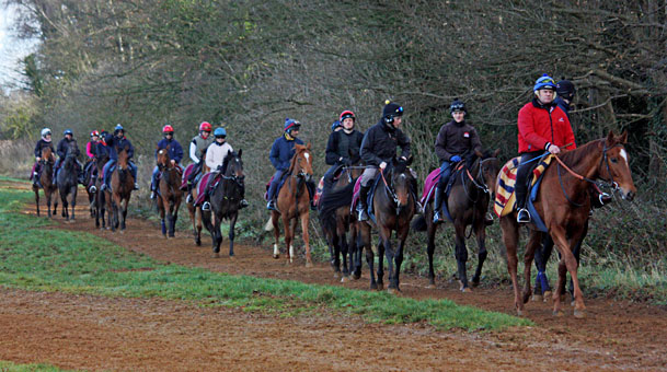 going-to-the-gallops